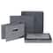 Household Essentials Storage Bins with Lids, 2ct.